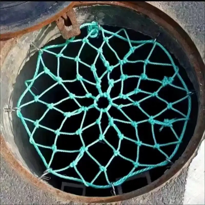 Anti-fall net